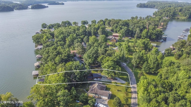 241 Goose Point Dr, Spring City, TN 37381 - photo 35