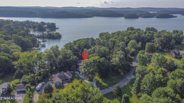241 Goose Point Dr, Spring City, TN 37381 - photo 36