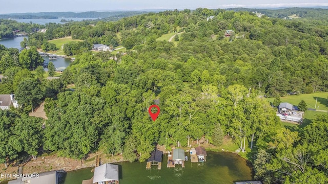 241 Goose Point Dr, Spring City, TN 37381 - photo 31