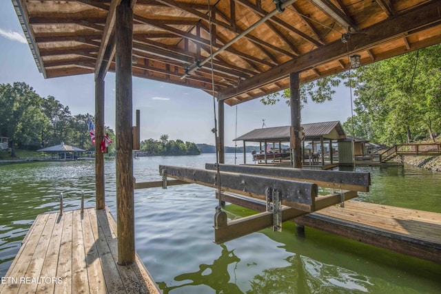 241 Goose Point Dr, Spring City, TN 37381 - photo 25