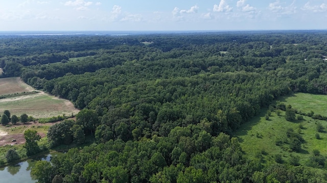 0 Heaston Ln, Drummonds, TN 38023 - photo 11