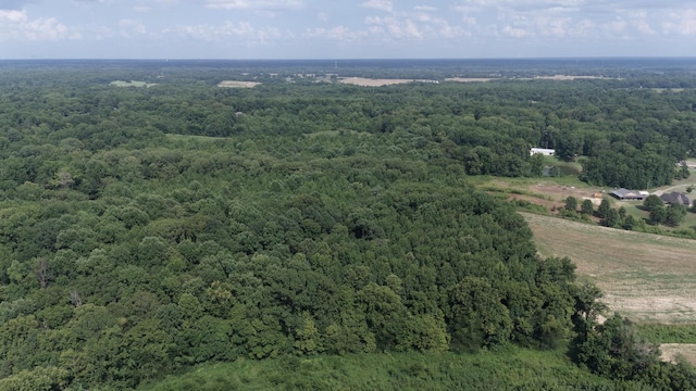 0 Heaston Ln, Drummonds, TN 38023 - photo 17