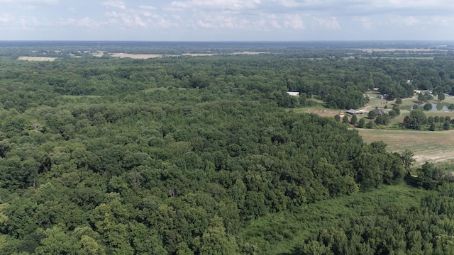 0 Heaston Ln, Drummonds, TN 38023 - photo 14