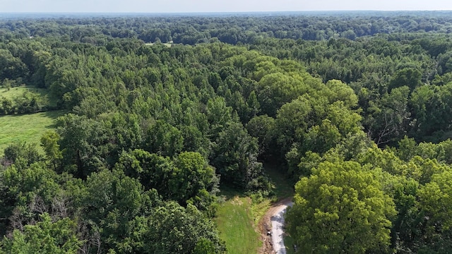 0 Heaston Ln, Drummonds, TN 38023 - photo 9