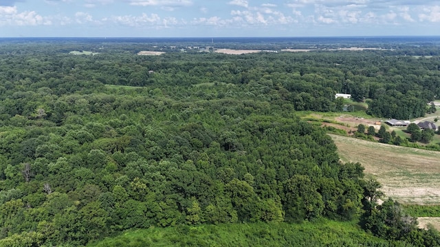 0 Heaston Ln, Drummonds, TN 38023 - photo 12