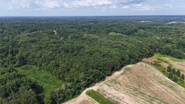 0 Heaston Ln, Drummonds, TN 38023 - photo 2