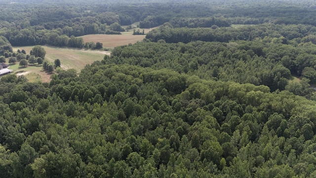 0 Heaston Ln, Drummonds, TN 38023 - photo 13