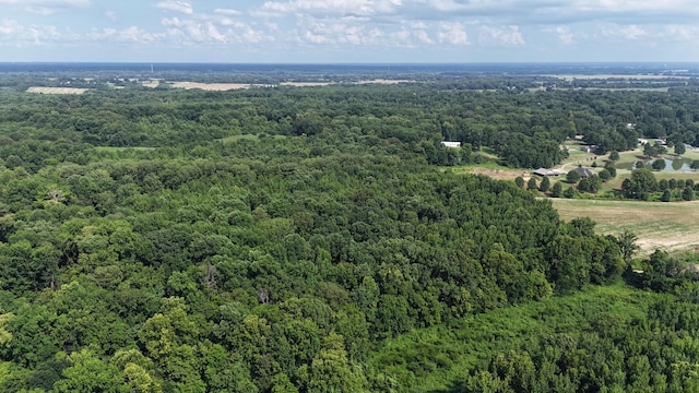 0 Heaston Ln, Drummonds, TN 38023 - photo 6