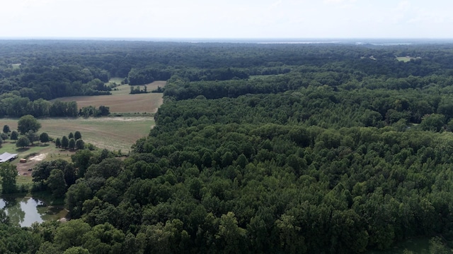 0 Heaston Ln, Drummonds, TN 38023 - photo 18