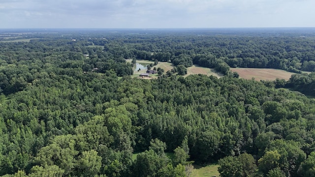 0 Heaston Ln, Drummonds, TN 38023 - photo 4