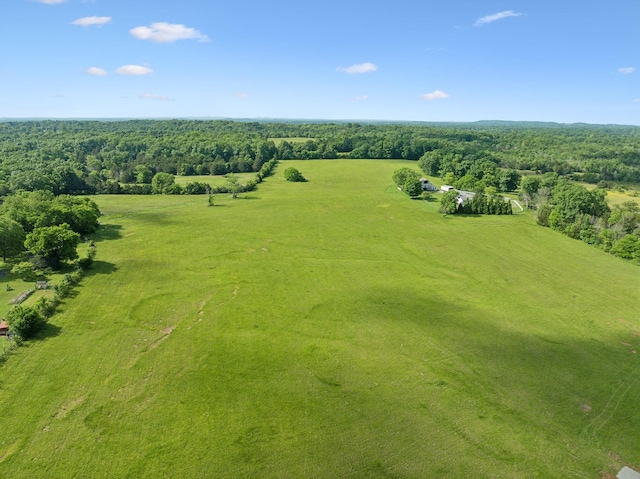 2 Joe Peay Rd, Spring Hill, TN 37174 - photo 6