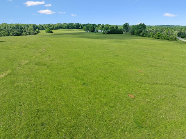 2 Joe Peay Rd, Spring Hill, TN 37174 - photo 30