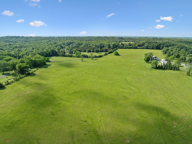2 Joe Peay Rd, Spring Hill, TN 37174 - photo 5