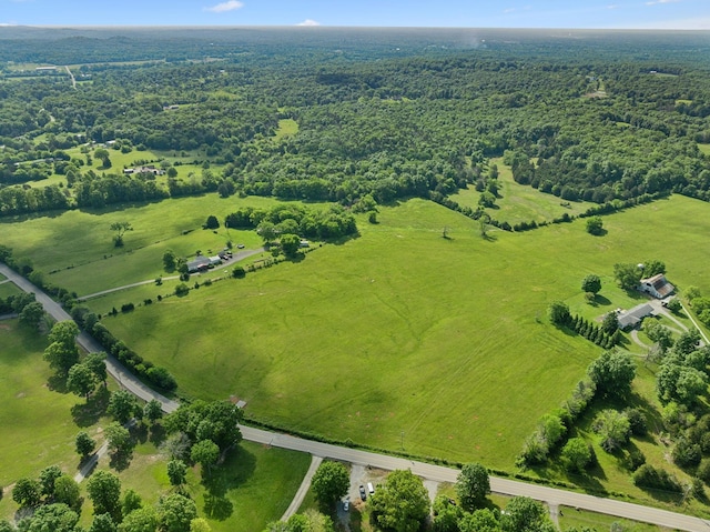 2 Joe Peay Rd, Spring Hill, TN 37174 - photo 11