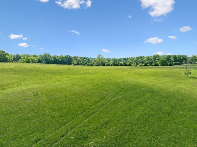 2 Joe Peay Rd, Spring Hill, TN 37174 - photo 36