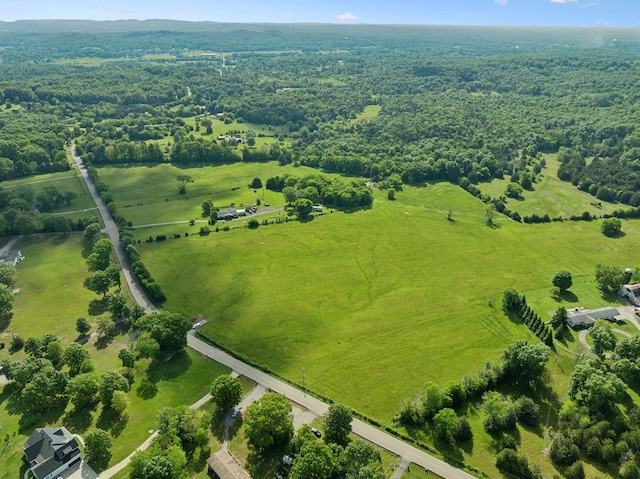 2 Joe Peay Rd, Spring Hill, TN 37174 - photo 12