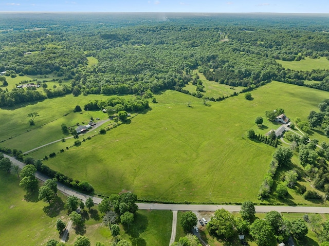 2 Joe Peay Rd, Spring Hill, TN 37174 - photo 10