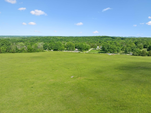 2 Joe Peay Rd, Spring Hill, TN 37174 - photo 41