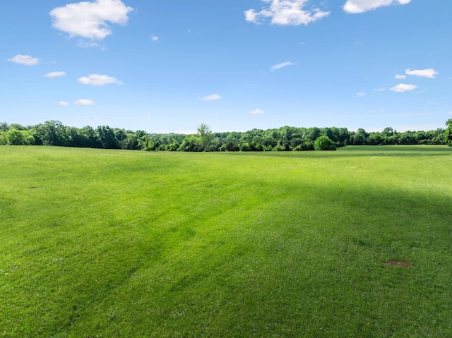2 Joe Peay Rd, Spring Hill, TN 37174 - photo 37