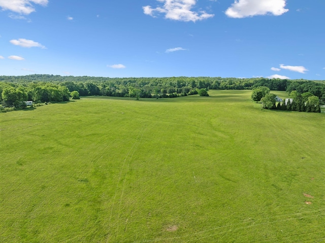 2 Joe Peay Rd, Spring Hill, TN 37174 - photo 43
