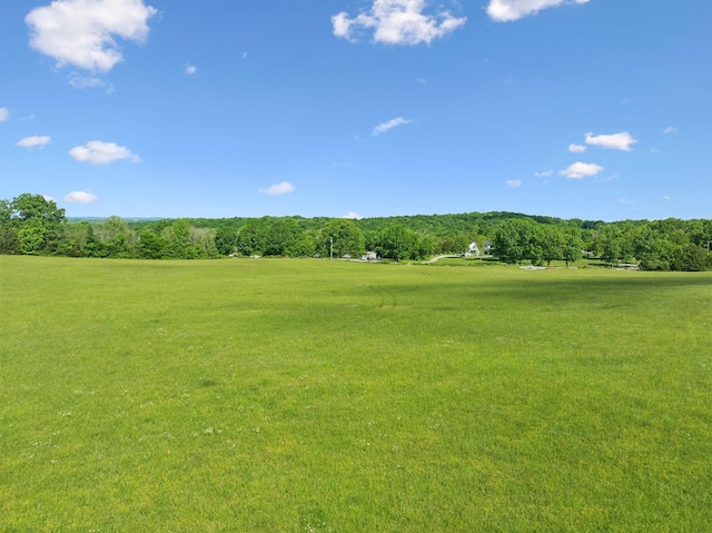 2 Joe Peay Rd, Spring Hill, TN 37174 - photo 40