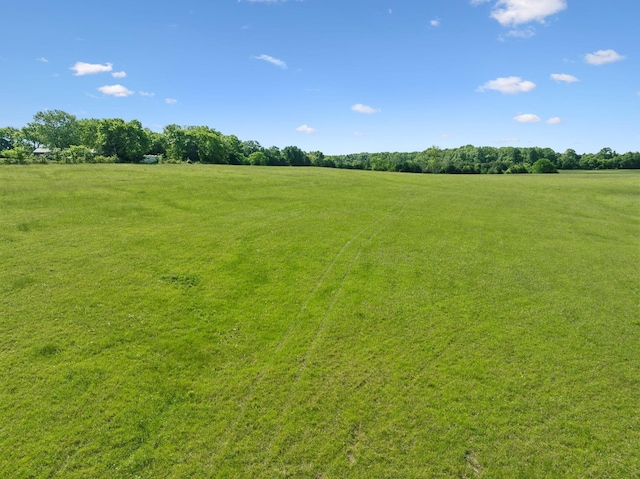 2 Joe Peay Rd, Spring Hill, TN 37174 - photo 45