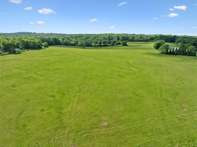 2 Joe Peay Rd, Spring Hill, TN 37174 - photo 44