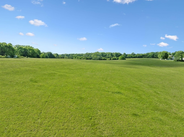 2 Joe Peay Rd, Spring Hill, TN 37174 - photo 33