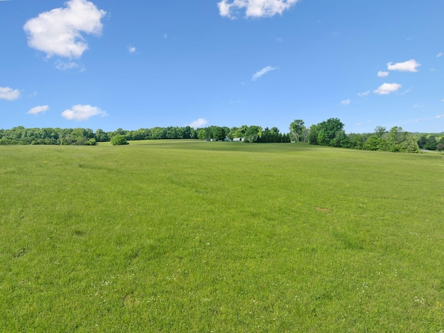 2 Joe Peay Rd, Spring Hill, TN 37174 - photo 31
