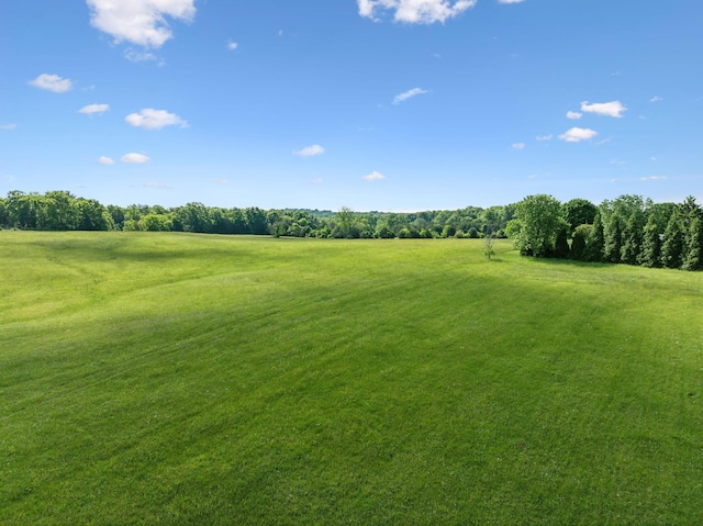 2 Joe Peay Rd, Spring Hill, TN 37174 - photo 35