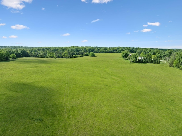 2 Joe Peay Rd, Spring Hill, TN 37174 - photo 4