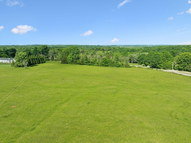 2 Joe Peay Rd, Spring Hill, TN 37174 - photo 42