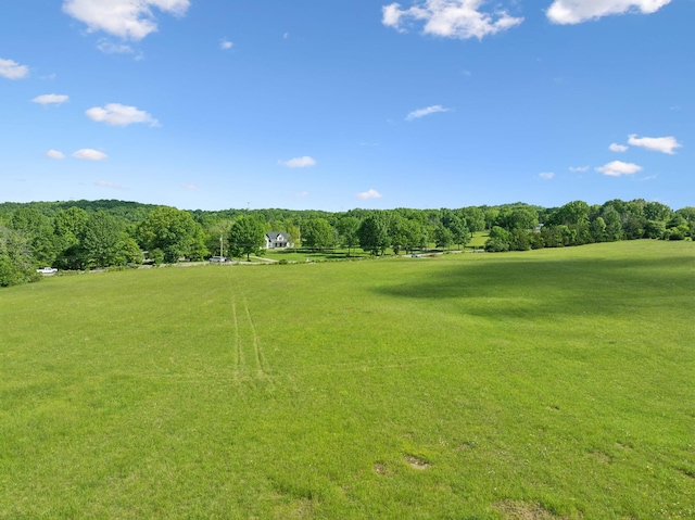 2 Joe Peay Rd, Spring Hill, TN 37174 - photo 39