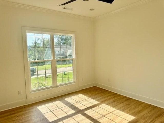 519 Cottage Way, Cookeville, TN 38506 - photo 6