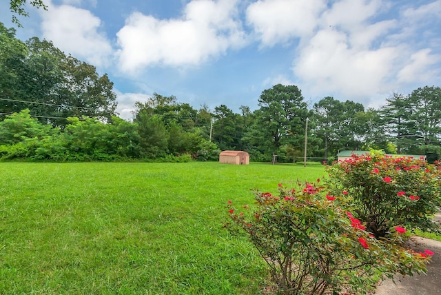 107 Horseshoe Bend Rd, Leoma, TN 38468 - photo 32