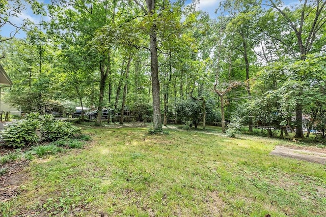 1110 Crown Point Rd W, Signal Mountain, TN 37377 - photo 29