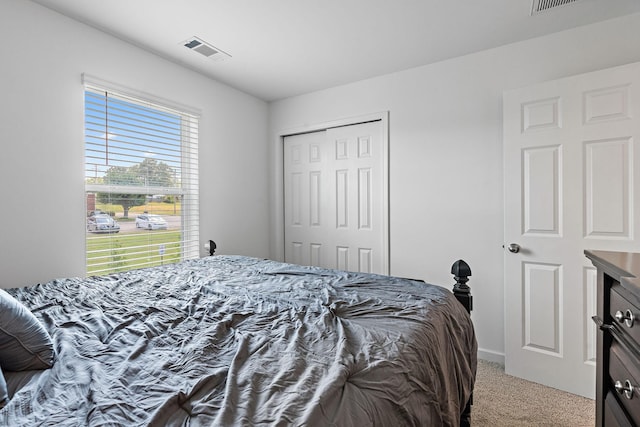 105 Timber Crest Trl, White Bluff, TN 37187 - photo 20