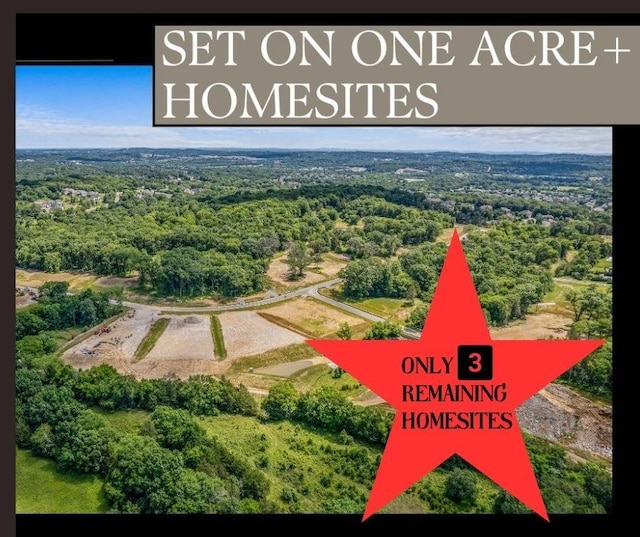 9917 Elland Rd, Brentwood, TN 37027 - photo 3