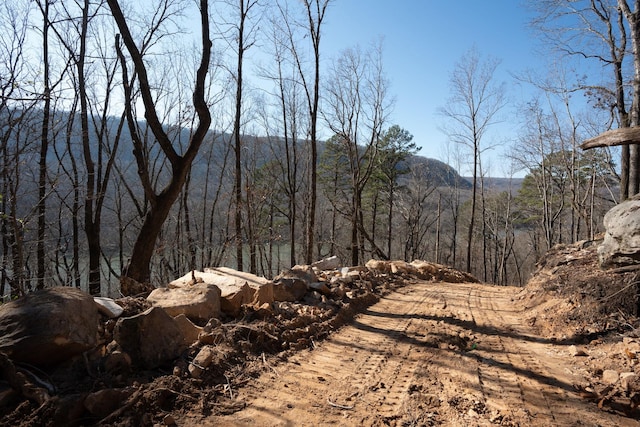 2425 Suck Creek Rd, Chattanooga, TN 37405 - photo 3