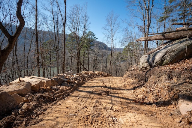 2425 Suck Creek Rd, Chattanooga, TN 37405 - photo 2