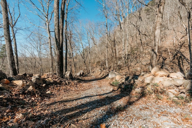 2425 Suck Creek Rd, Chattanooga, TN 37405 - photo 12
