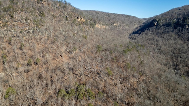 2425 Suck Creek Rd, Chattanooga, TN 37405 - photo 13