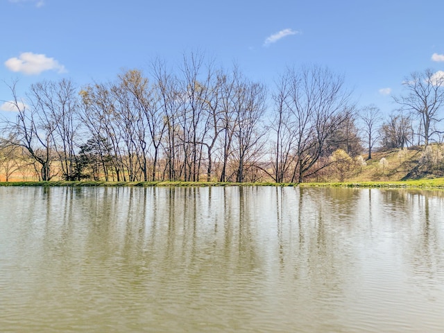 4639 Johnny Bennett Rd, Thompsons Station, TN 37179 - photo 18