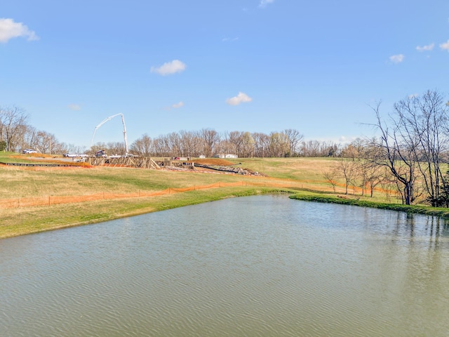 4639 Johnny Bennett Rd, Thompsons Station, TN 37179 - photo 17