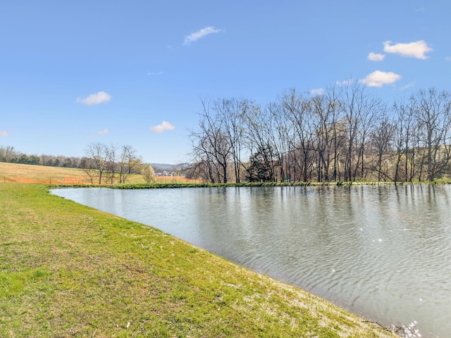 4639 Johnny Bennett Rd, Thompsons Station, TN 37179 - photo 16