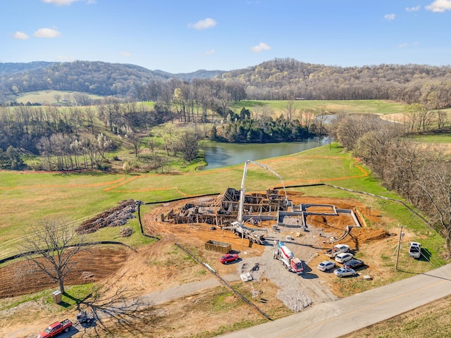 4639 Johnny Bennett Rd, Thompsons Station, TN 37179 - photo 19