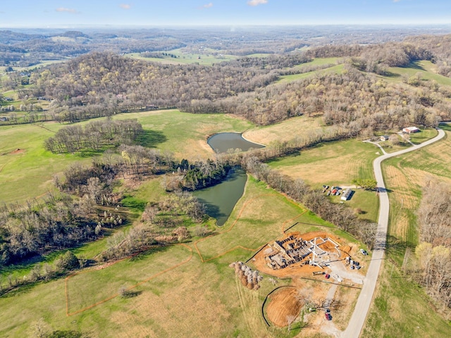 4639 Johnny Bennett Rd, Thompsons Station, TN 37179 - photo 39