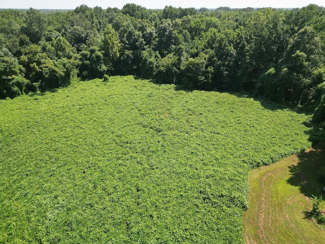 858 Wortham Rd, Atoka, TN 38004 - photo 32