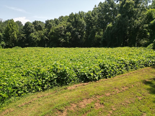858 Wortham Rd, Atoka, TN 38004 - photo 36