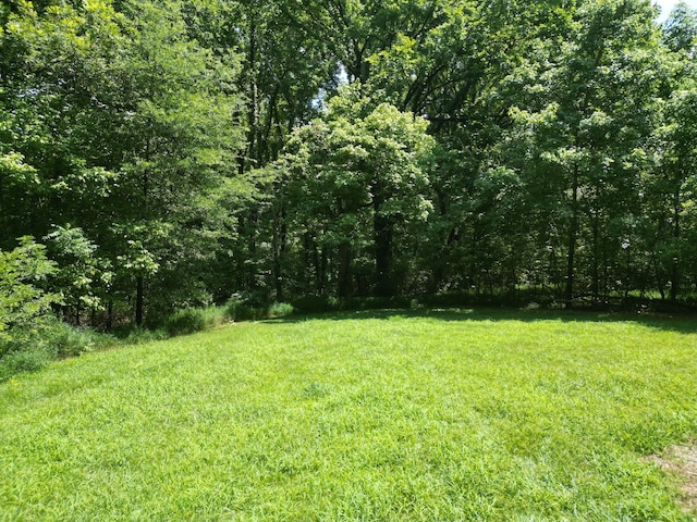 858 Wortham Rd, Atoka, TN 38004 - photo 17
